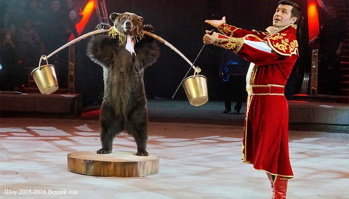 Цирк Вернадского Купить Билеты На Новогоднее Цирк Вернадского Купить Билеты На Новогоднее
